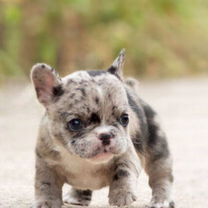 Meet your Posher, Nora